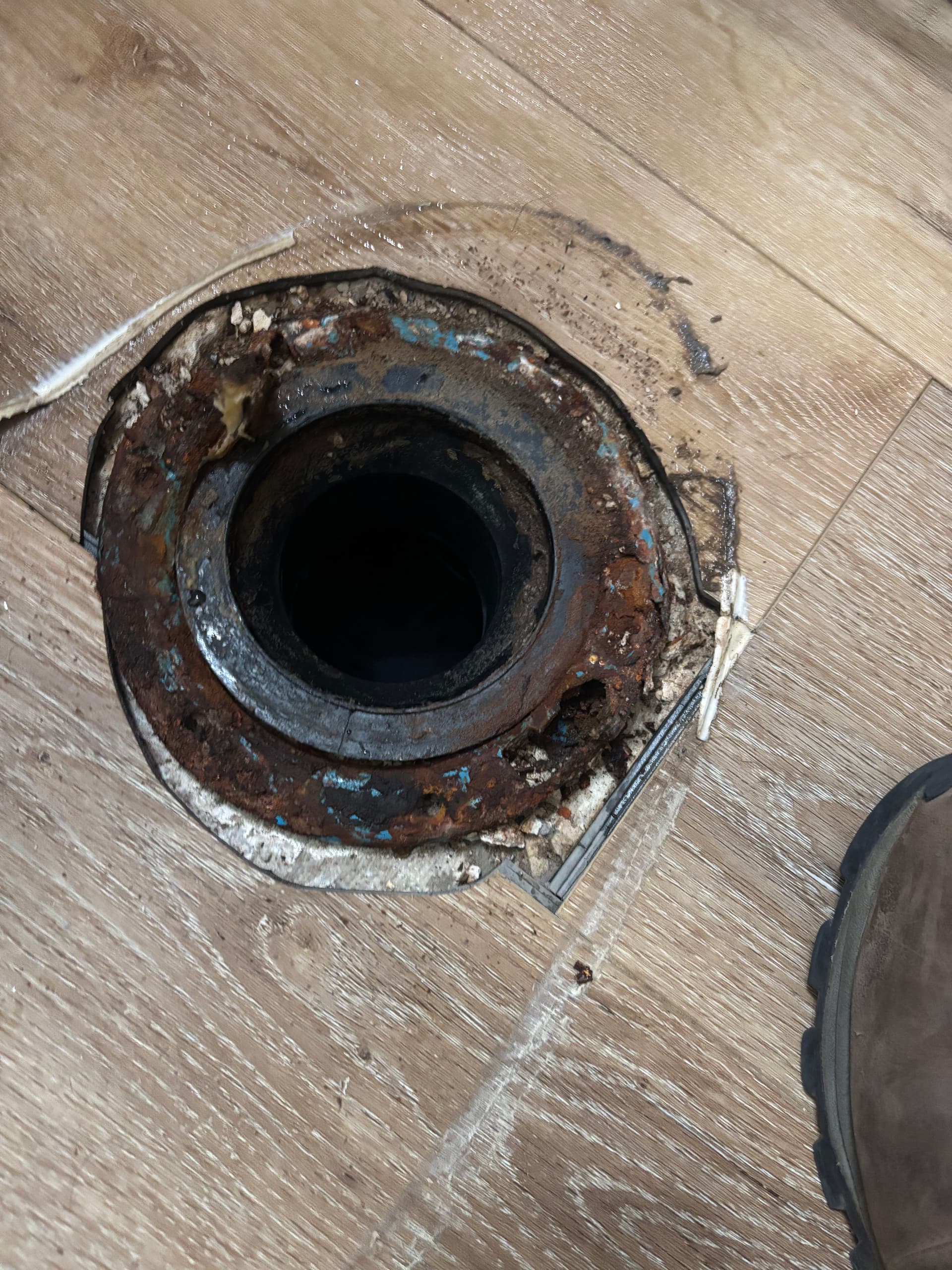 Rusted Toilet Flange Repair Done the Right Way image
